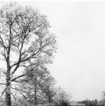 Lake Park Cemetary101