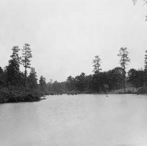 Unidentified Laurel Lake106