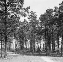 West Laurel Park - Tebbs And Knell080