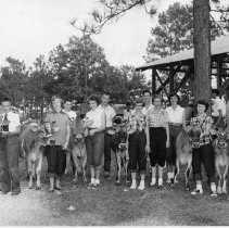 1955 Fair 4h Jersey Animals Awarded By Laurel Kiwanis157