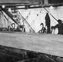 Eastman Gardiner    013