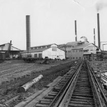 Eastman Gardiner    019