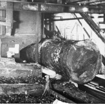 Eastman Gardiner    032