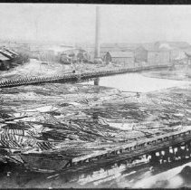 Eastman Gardiner    039