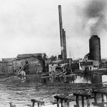 Eastman Gardiner    043