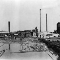 Eastman Gardiner    045