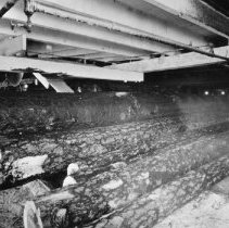 Eastman Gardiner    046