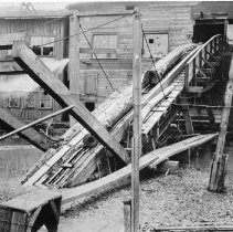 Eastman Gardiner    047