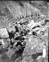 Crossing the slide rock on Greybull River
