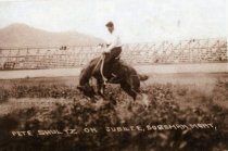 Pete Schuttz on Jubilee, Bozeman, MT