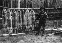 Anson Eddy with pelts