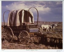 Painted Canyon Camp - WCWT