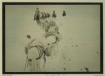 Pack horses going over Deer Creek Pass