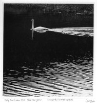 Swamp Lake, Crandall - April 1990