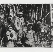 Nisei Linguists Serving Overseas