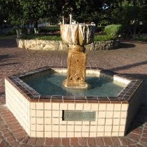 Colonel Roger Fitch Collection