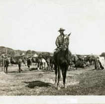 361st Infantry Training at Camp Ord and San Luis Obispo, Organized Reserve Corps