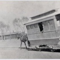 Horse-dranw street car about 1915.