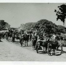 Camp Ord Maneuvers - 11th Cavalry