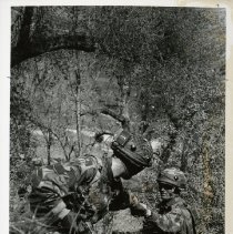 Fort Ord -field maneuvers: soldiers climbing a ridge