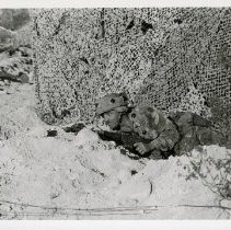 Fort Ord -field maneuvers: soldier crawling under nets