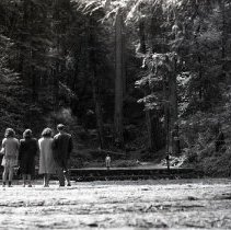 Group Vists a Redwood Forest and Mountains, 1942-1944