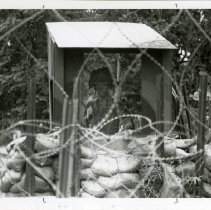 Operation Just Cause - Panama: soldier standing guard