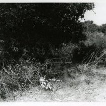 Operation Just Cause - Panama: ship