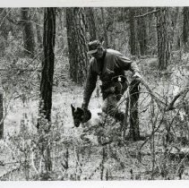 Fort Ord - Red Cross: search dog in the woods