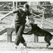 Fort Ord - Security/Police/Safety: guard dog