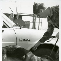 Fort Ord - Security/Police/Safety: guard dog