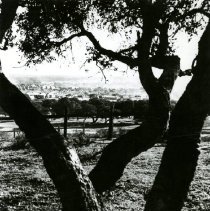 Camp Ord, Tents, 1940's