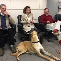 PFC Lingo Sounds Off During DLI Staff Meeting, March 2018.