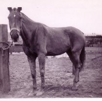 Ia.stickler.2019.01-019