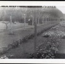 IA.DEL.2021.02-06-02