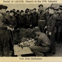 Album Pack Featuring 15 Scenes of Fort Ord, 1940s