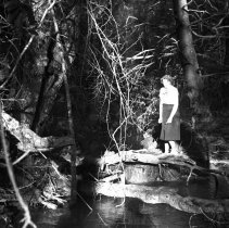 Visit to a Farm, 1942-1944