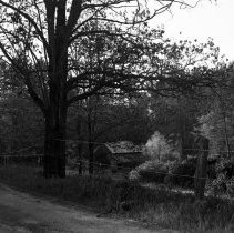 Visit to a Farm, 1942-1944
