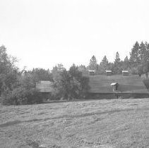 Visit to a Farm, 1942-1944