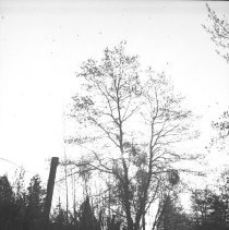 Visit to a Farm, 1942-1944