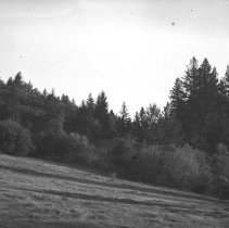 Visit to a Farm, 1942-1944