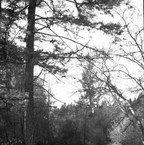 Visit to a Farm, 1942-1944