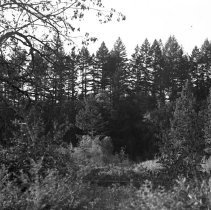 Visit to a Farm, 1942-1944