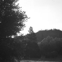 Visit to a Farm, 1942-1944