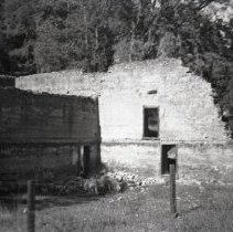 Group Vists a Redwood Forest and Mountains, 1942-1944