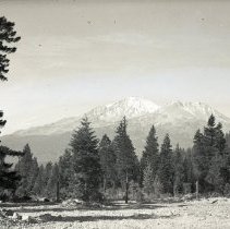 Group Vists a Redwood Forest and Mountains, 1942-1944