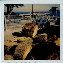 Unknown Man Cuts Logs at the Presidio of Monterey