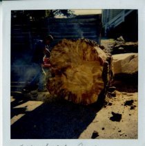 Unknown Man Uses Chainsaw to Process Lumber at the Presidio of Monterey