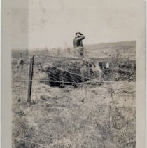 Gun Camouflaged in Trees at Fort Lewis