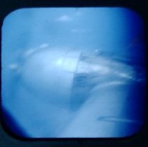 Stereoscope Collection of a Soldiers Time at Fort Ord